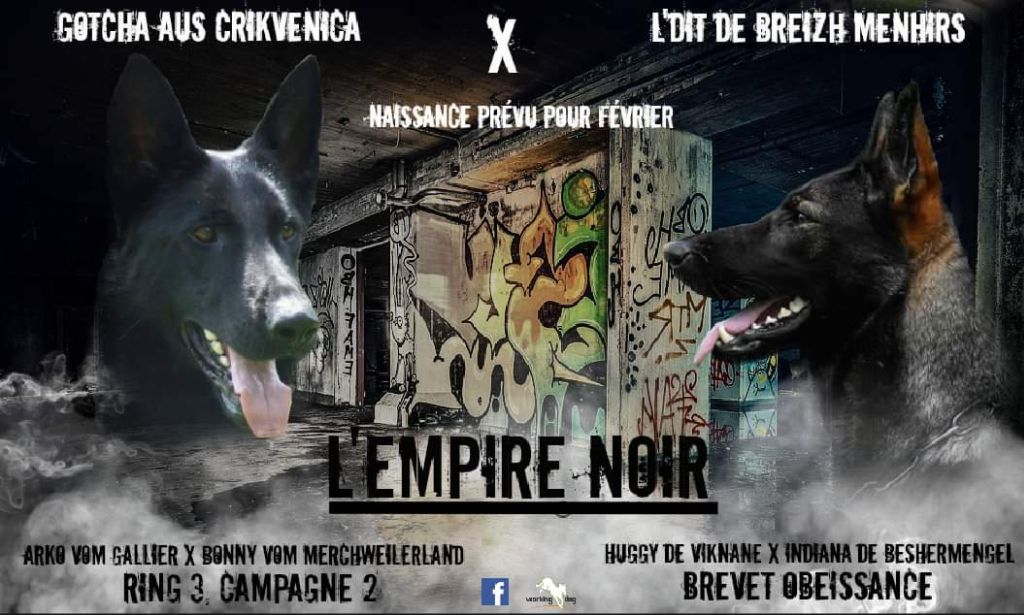 De L'Empire Noir - Confirmation de gestation L'dit de Breizh Menhir 