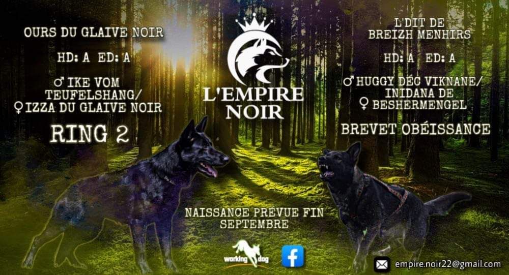 Portée 2022 : L'dit de Breizh Menhir X Ours du Glaive Noir